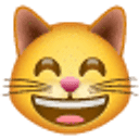 Grinsendes Katzengesicht mit lächelnden Augen