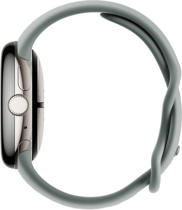 Pixel Watch 2