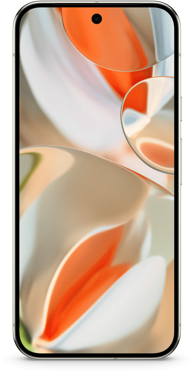 Pixel 9 Pro XL