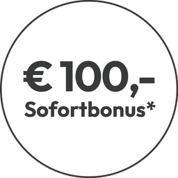 Google Handraiser: € 100,- Sofortbonus