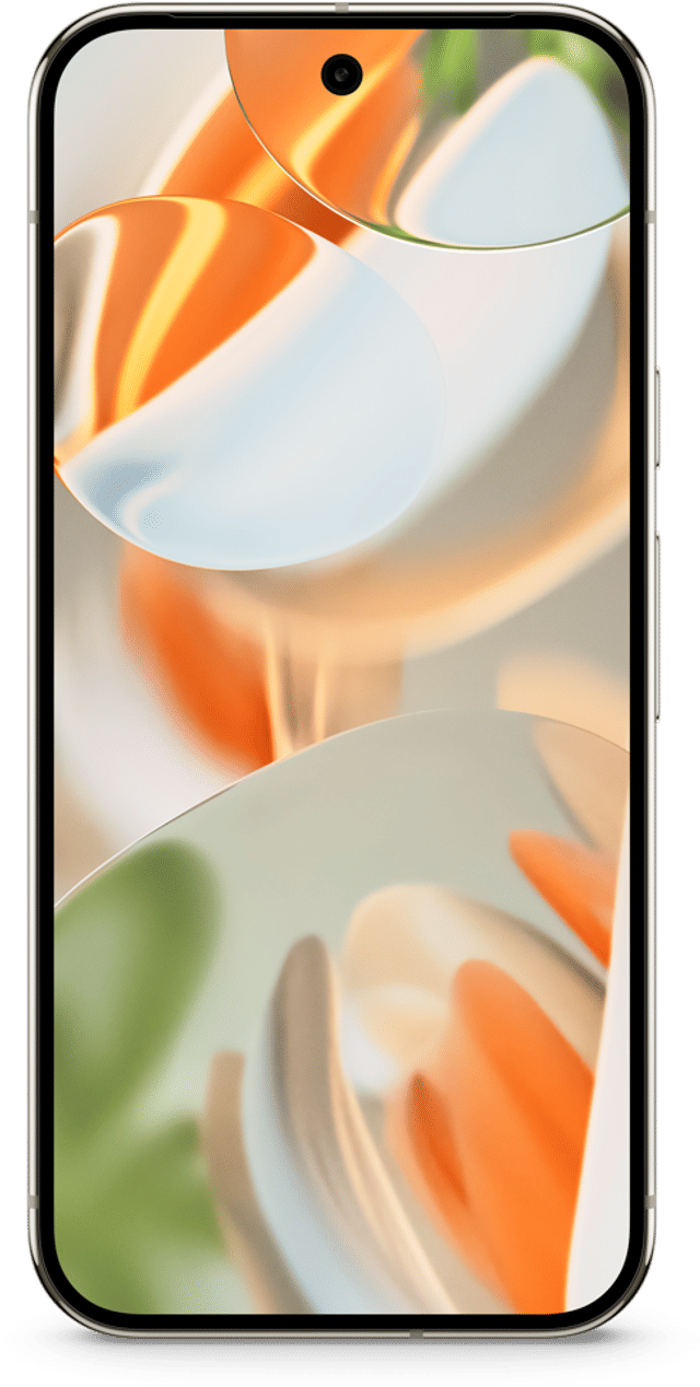 Pixel 9 Pro