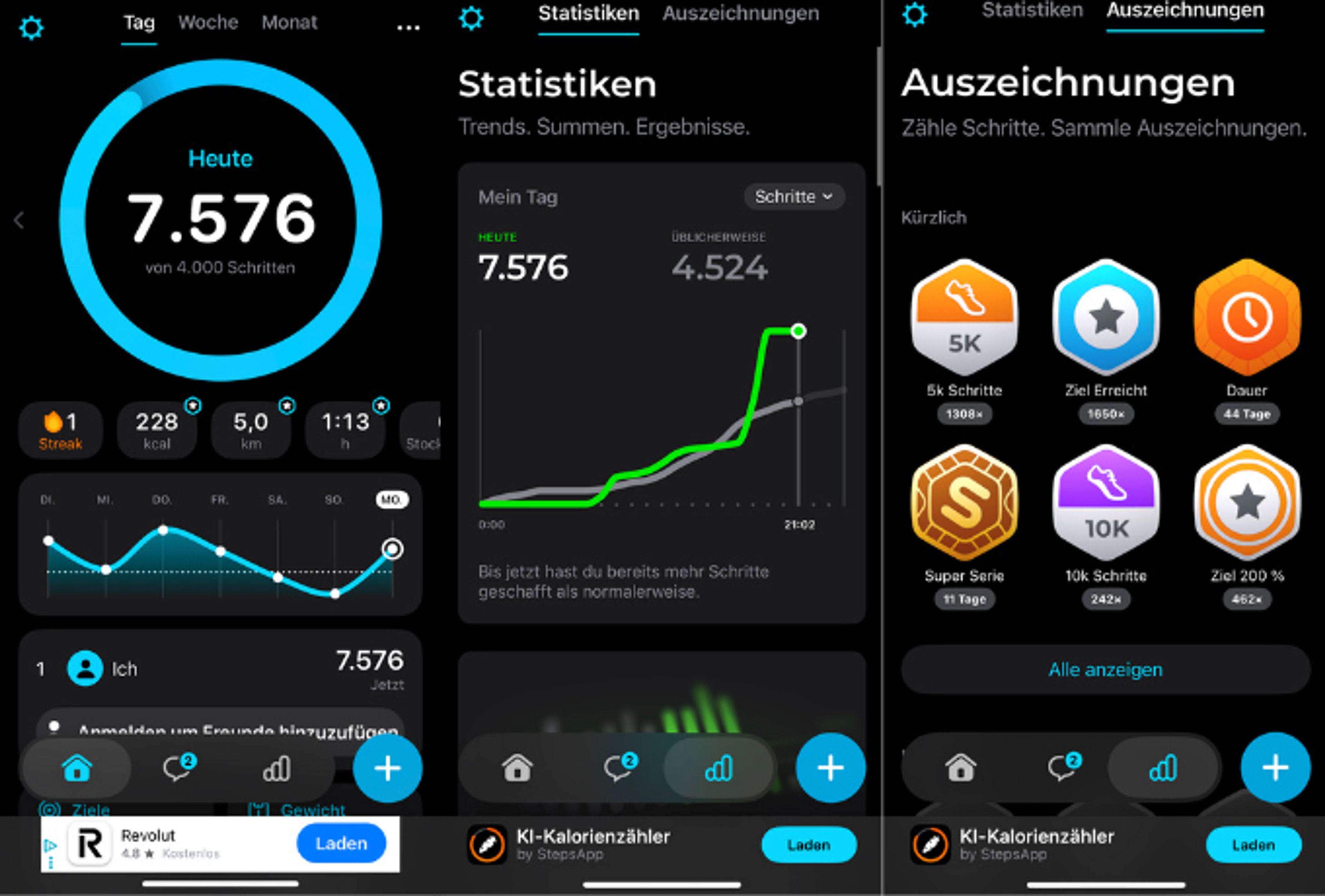 Screenshots der Anwendungsoberfläche von StepsApp