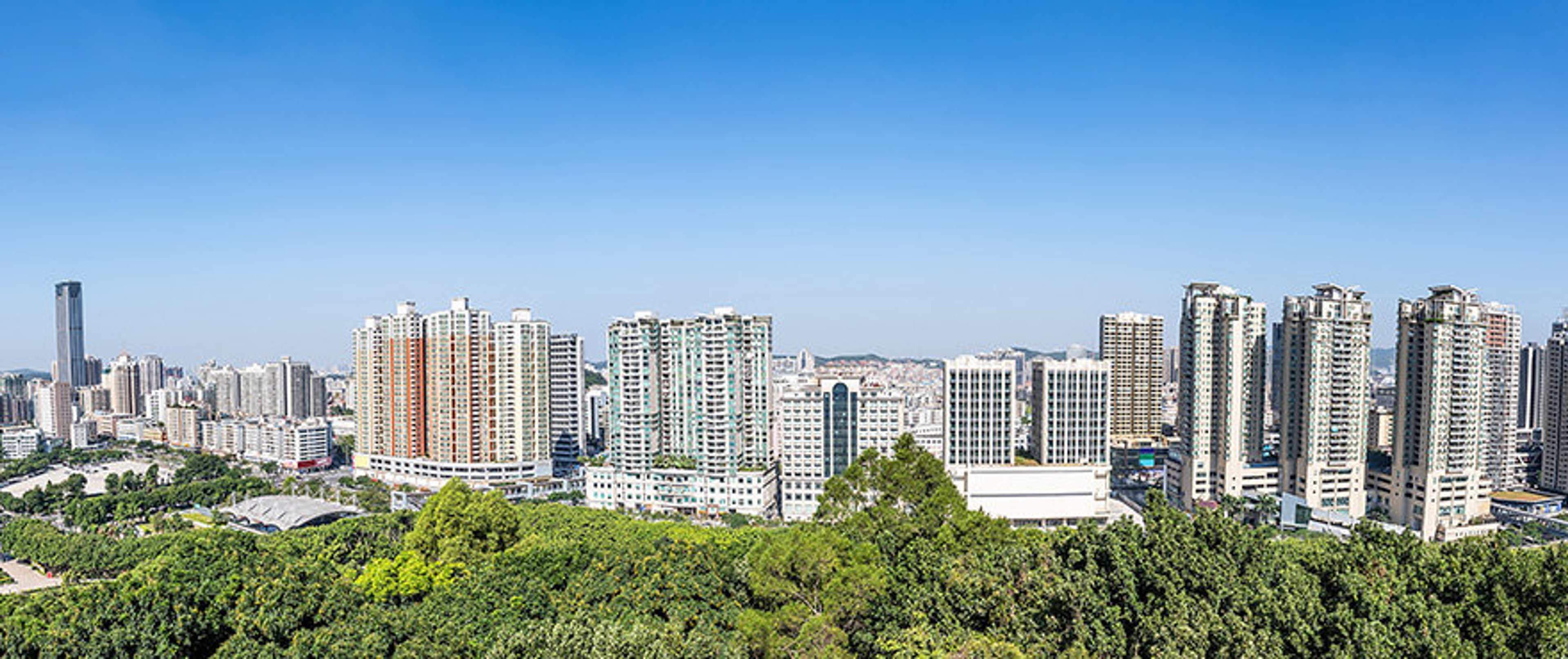 Shen Wei, Duan Yongping