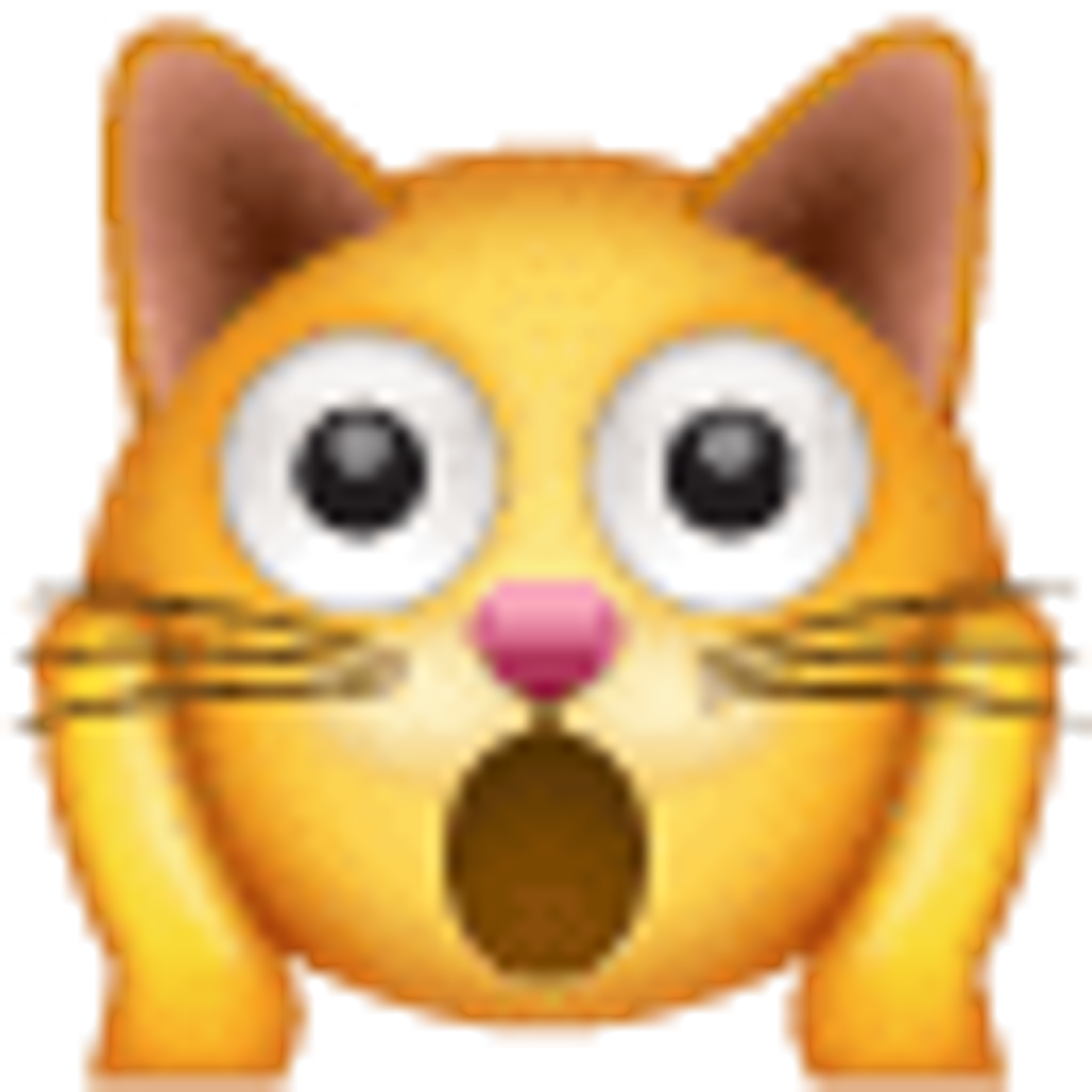 Erschöpftes Katzengesicht